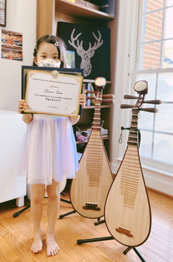 Traditional Pipa Mastery - Effy Pipa Studio