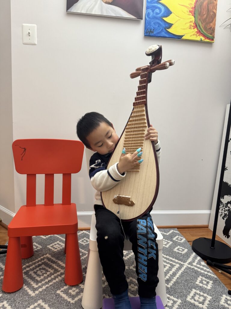 Traditional Pipa Mastery - Effy Pipa Studio